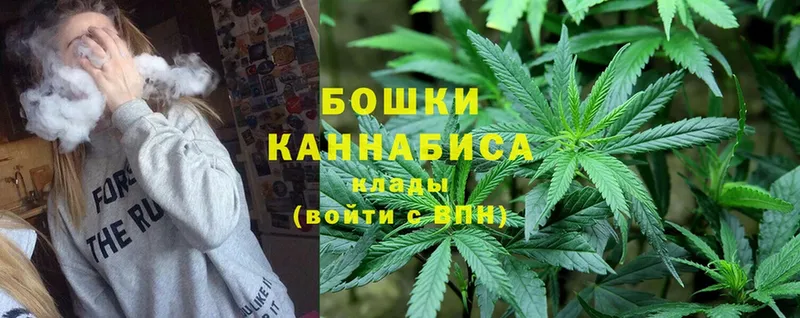 магазин  наркотиков  Новодвинск  Каннабис LSD WEED 